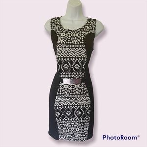 Fitted stretchy black & white dress.